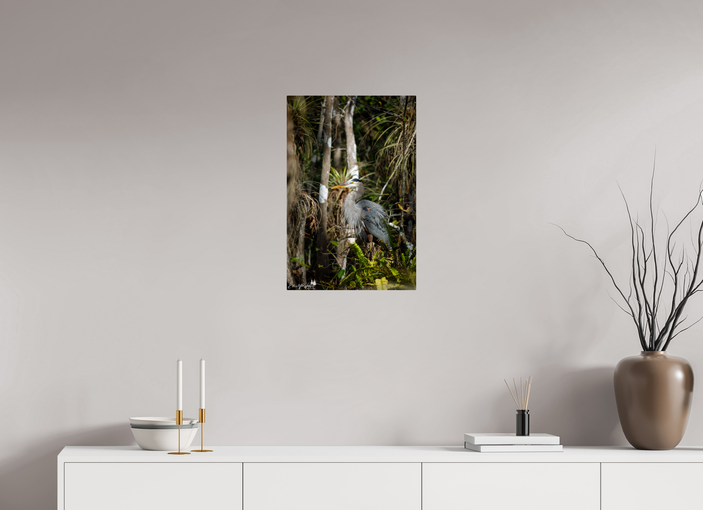 Great blue heron in the swamp