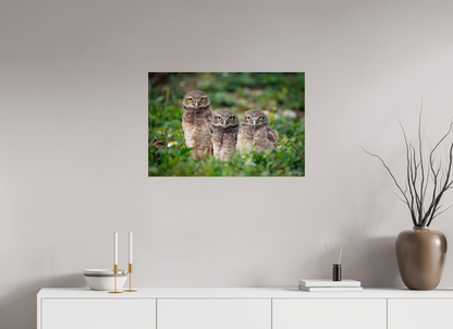 30 x 20″, Metal Three Little Burrowing Owls - Burrowing Owls