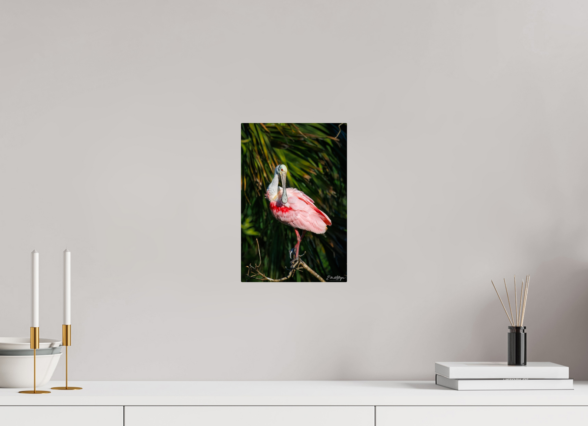 8 x 12″, Metal "Blush of the Wetlands" - Roseate Spoonbill