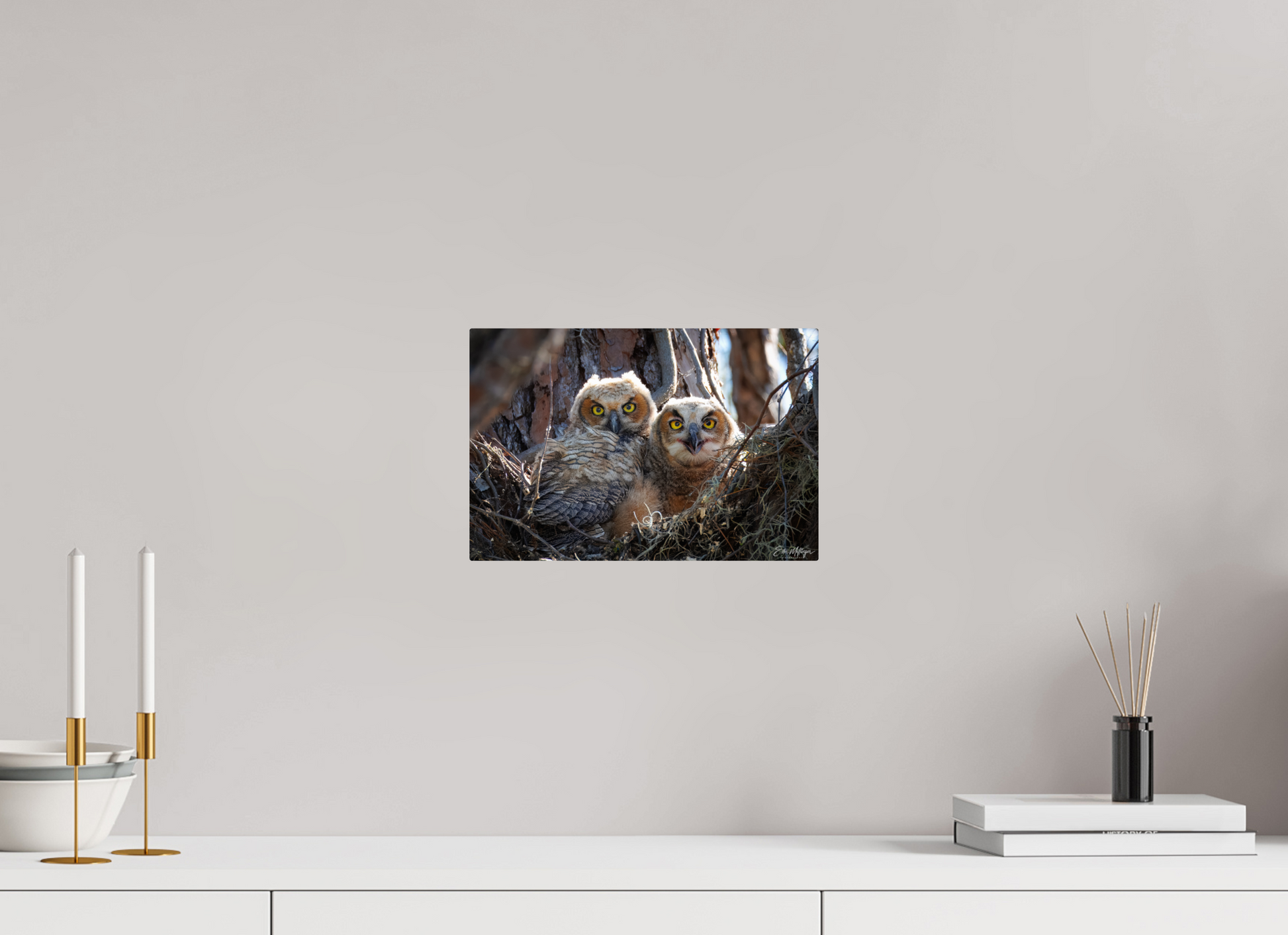 12 x 8″, Metal "Hidden in the Pines" - Great Horned Owlets