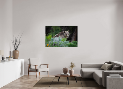 54 x 36″, Acrylic "Gentle Yawn" - Grizzly Bear