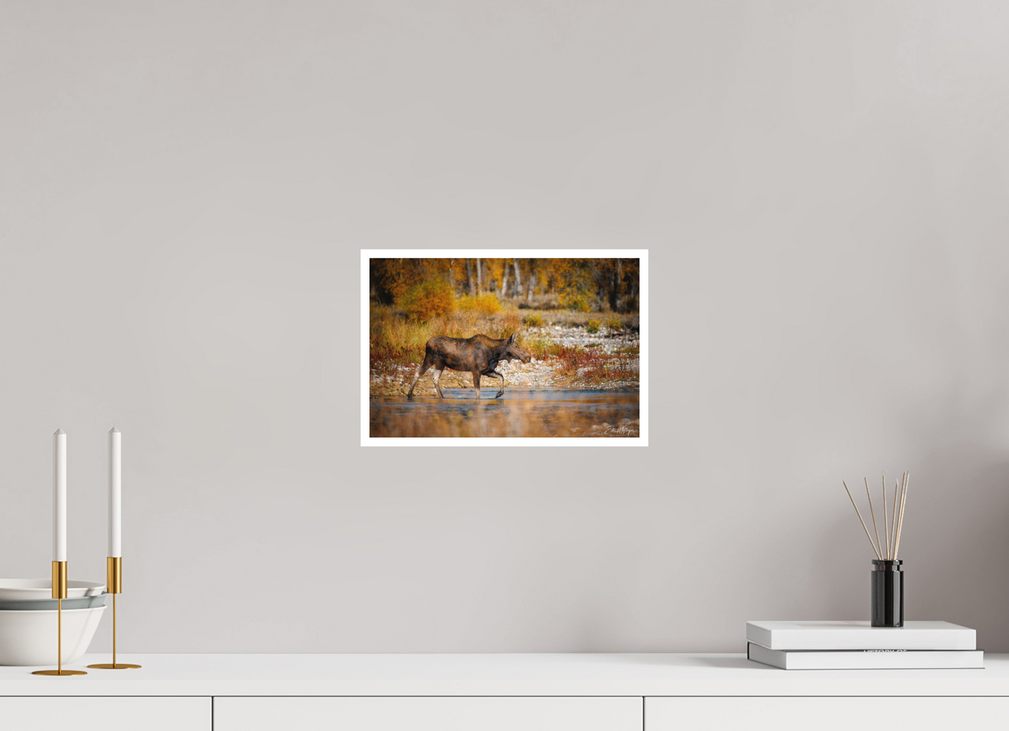 12 x 8″, Fine art print "Grace of Gros Ventre" - Moose