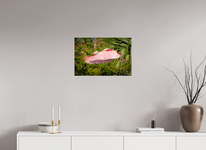 24 x 16″, Acrylic "Pink Passage" - Roseate Spoonbill