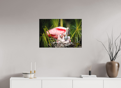 30 x 20″, Canvas "The Nest Above" - Spoonbills