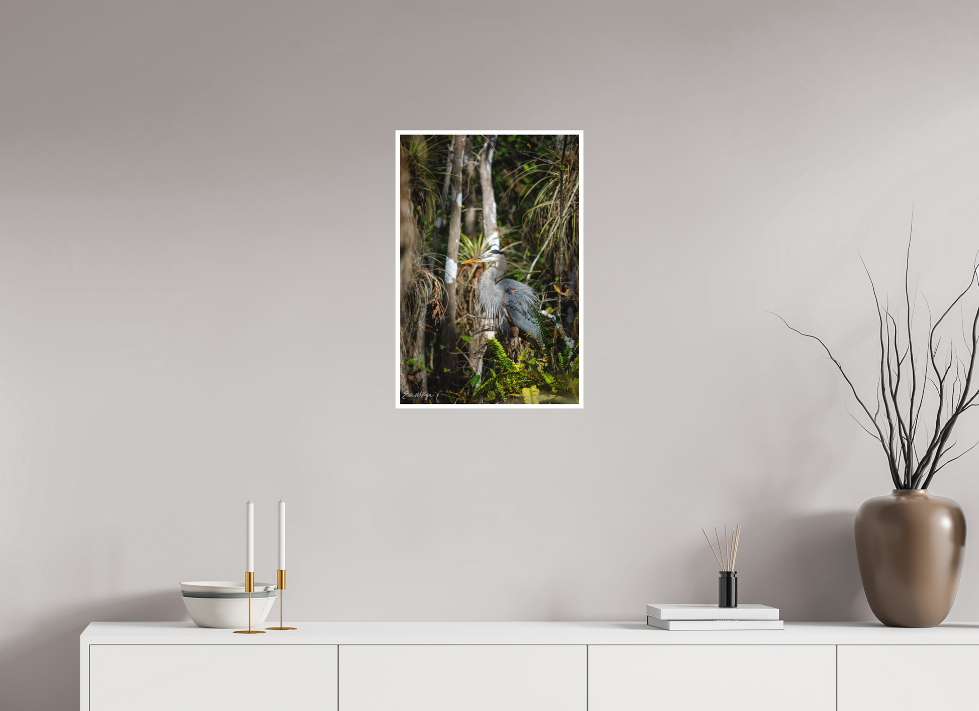 16 x 24″, Fine art print "Swamp Sentinel" - Great Blue Heron