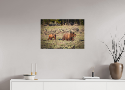 30 x 20″, Canvas "Grizzly 399 & Spirit - Walking the Tetons"