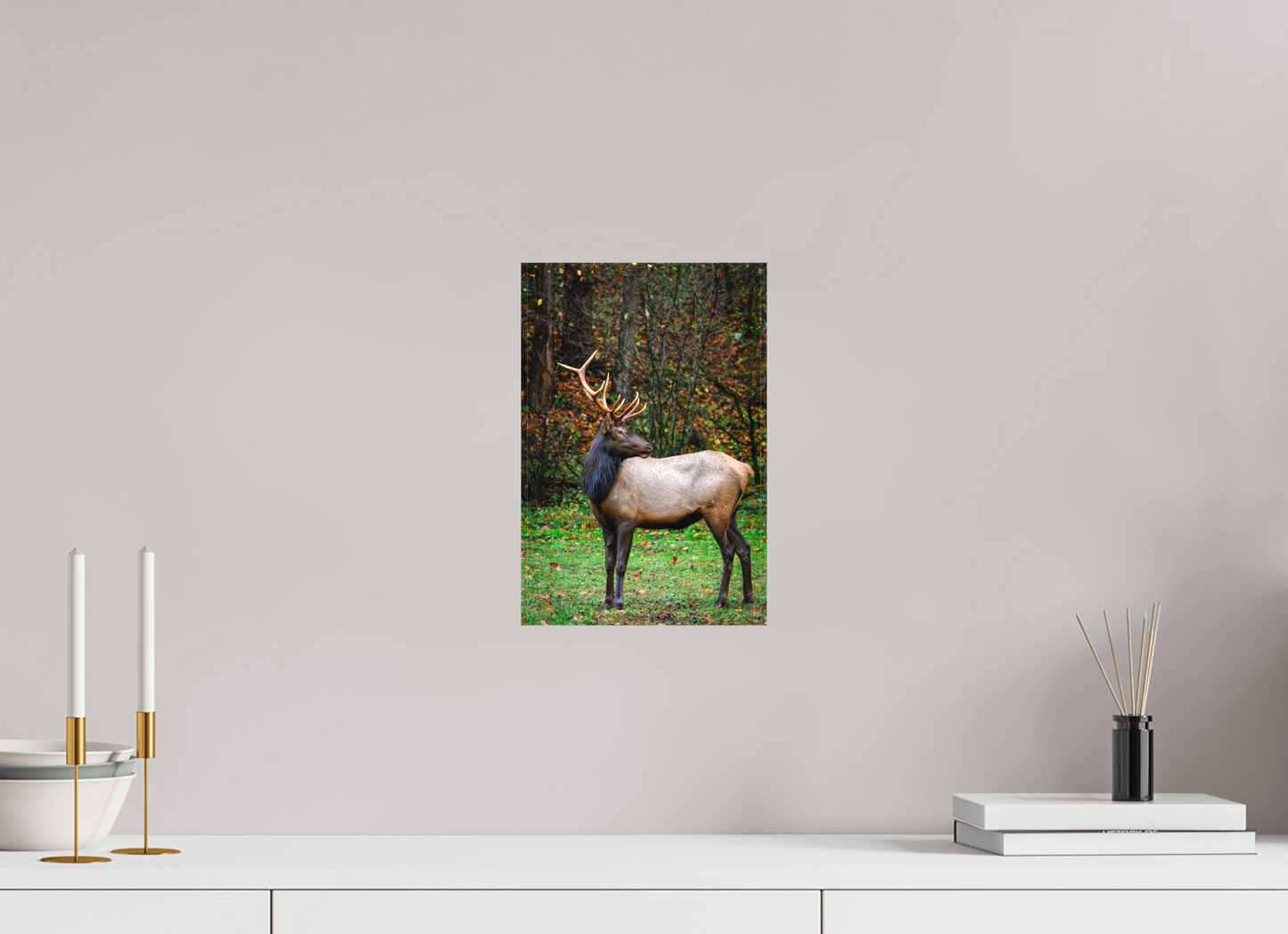 8 x 12″, Canvas "Guardian of the Meadow" - Elk