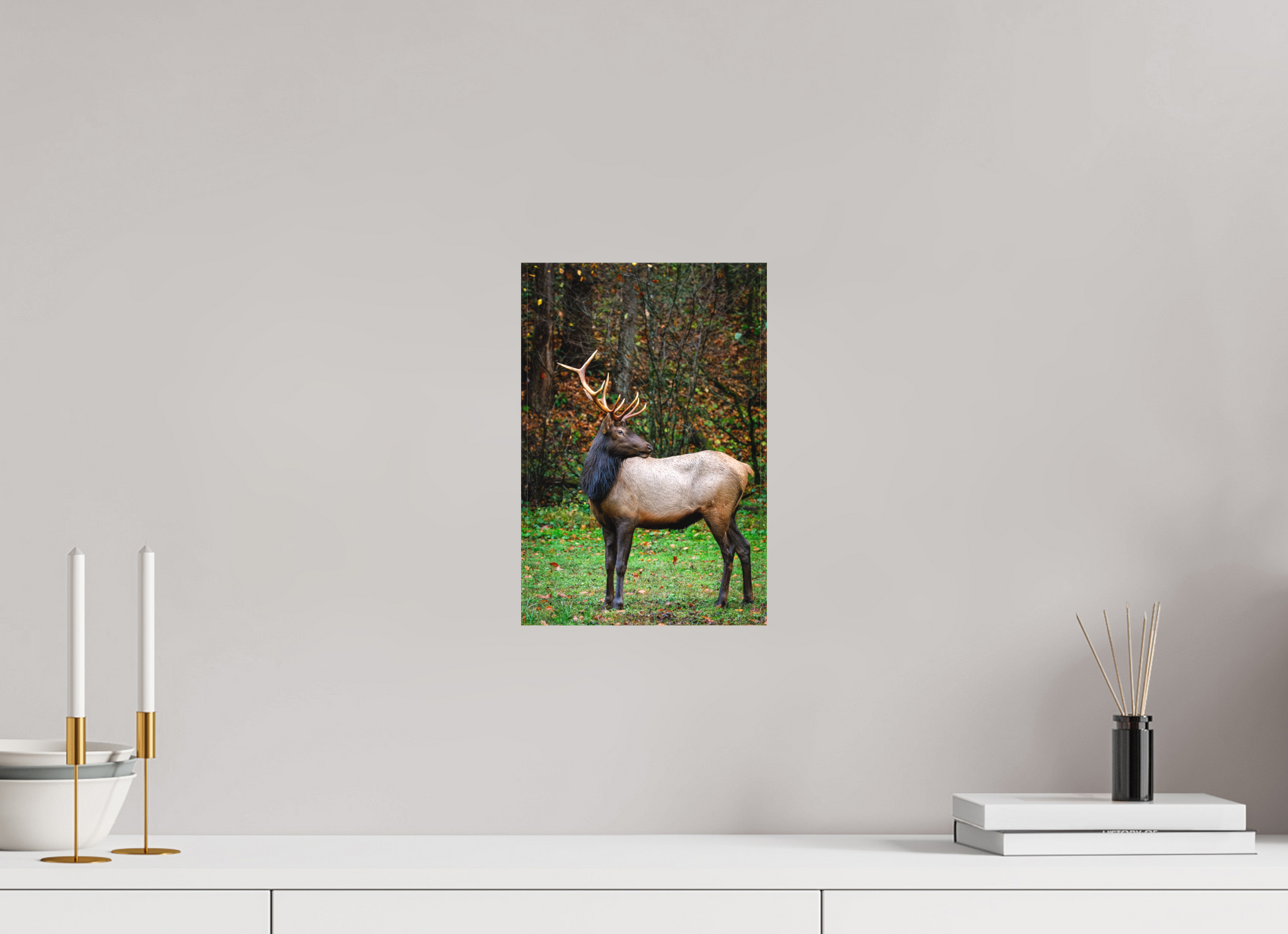 8 x 12″, Canvas "Guardian of the Meadow" - Elk