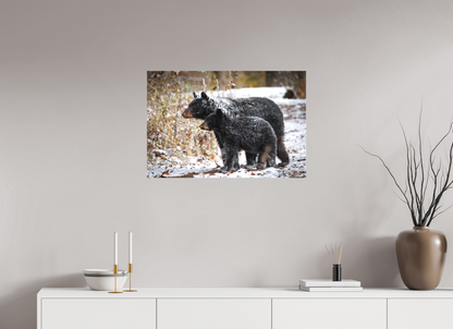 30 x 20″, Canvas "Guardians of the Snow" - Black Bears