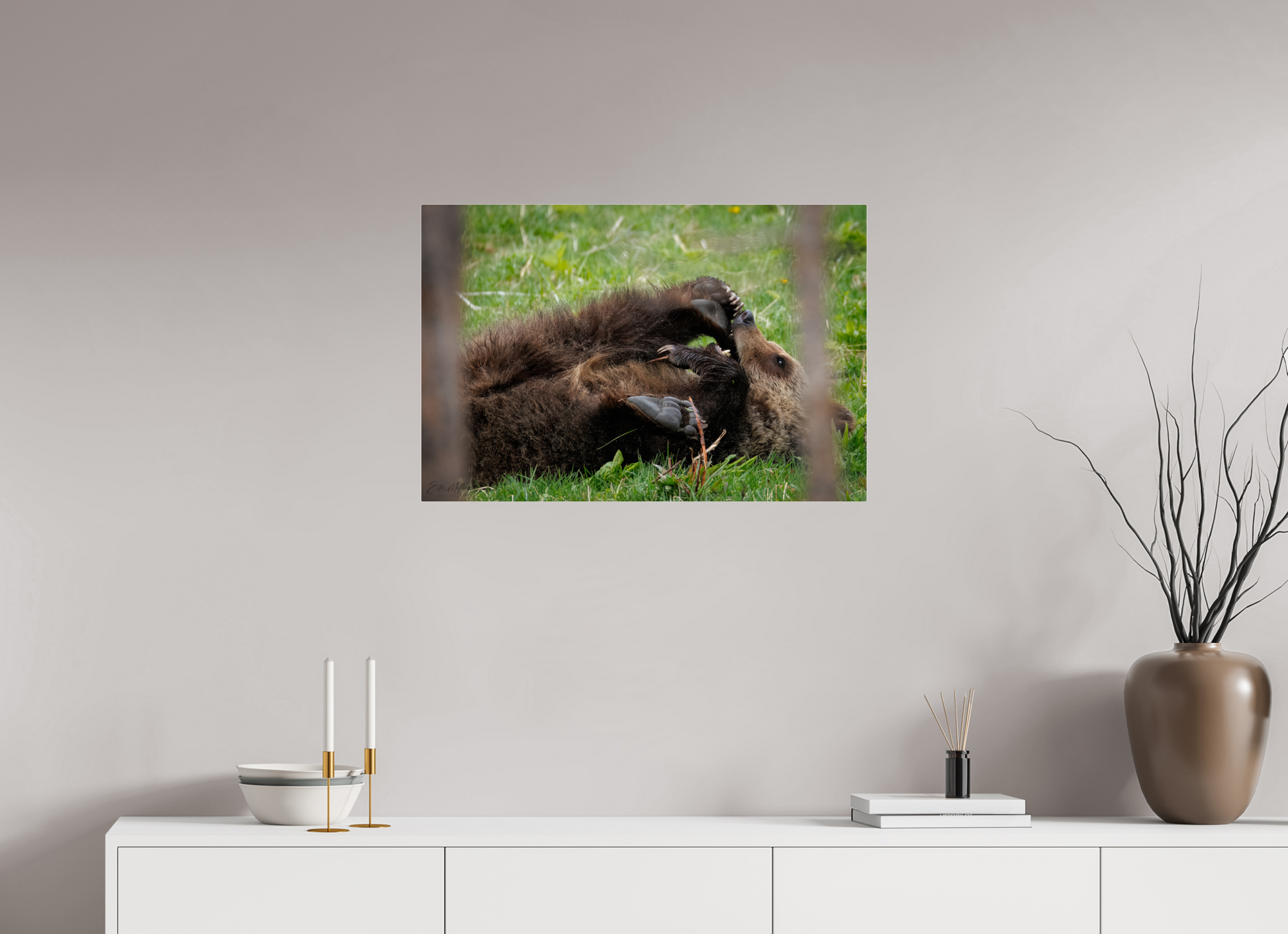 30 x 20″, Acrylic "Playful Beginnings" - Grizzly Bear
