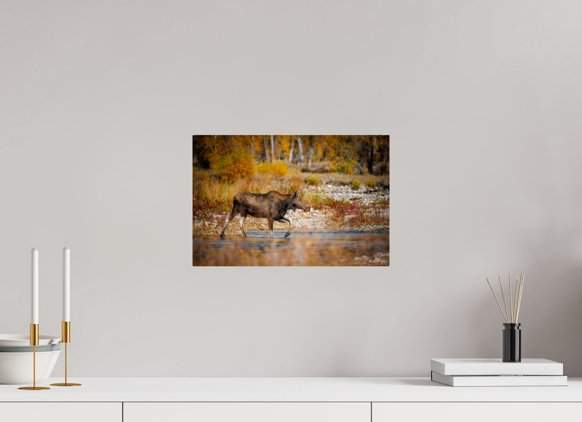 15 x 10″, Metal "Grace of Gros Ventre" - Moose