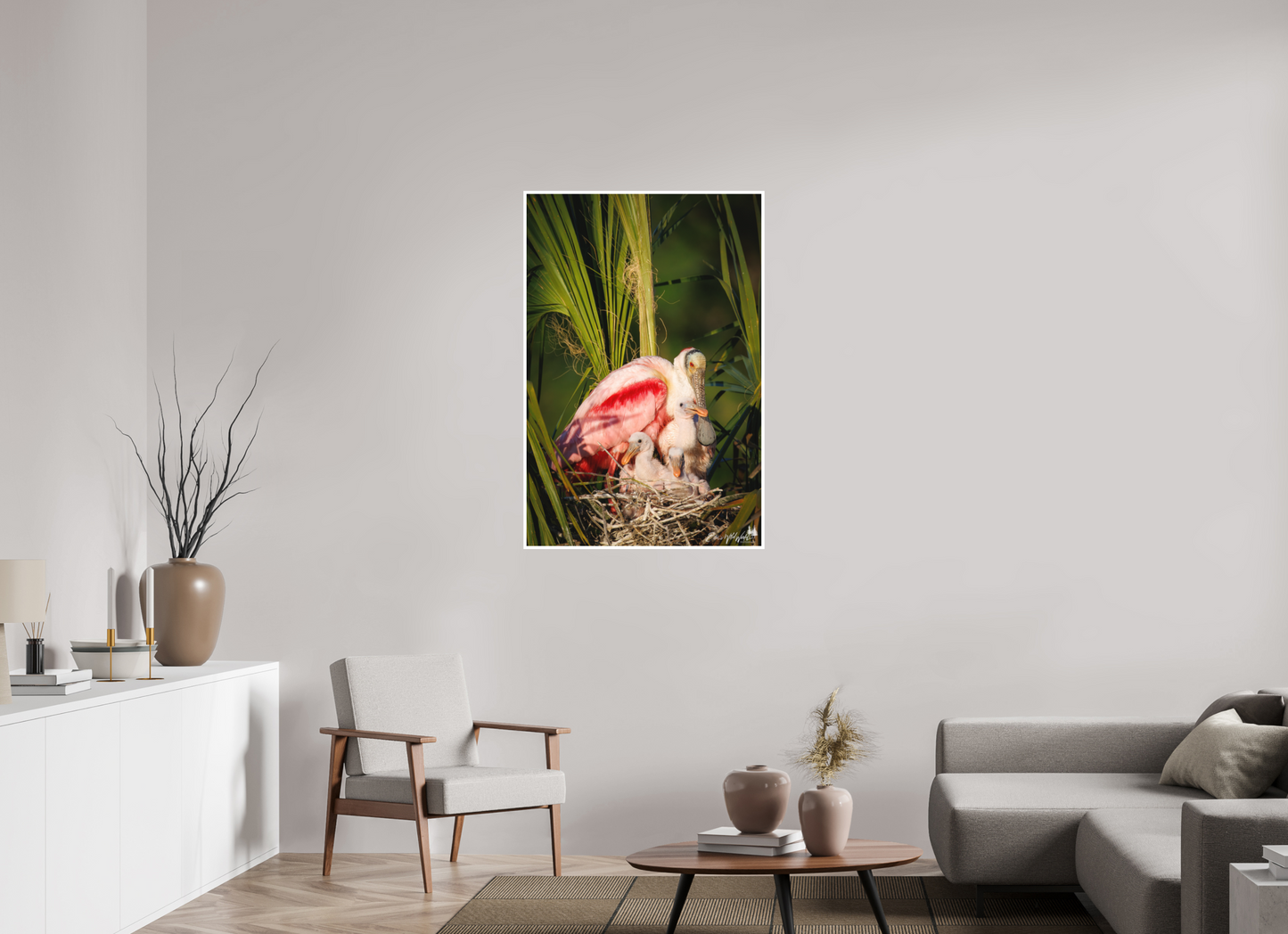 Spoonbill family