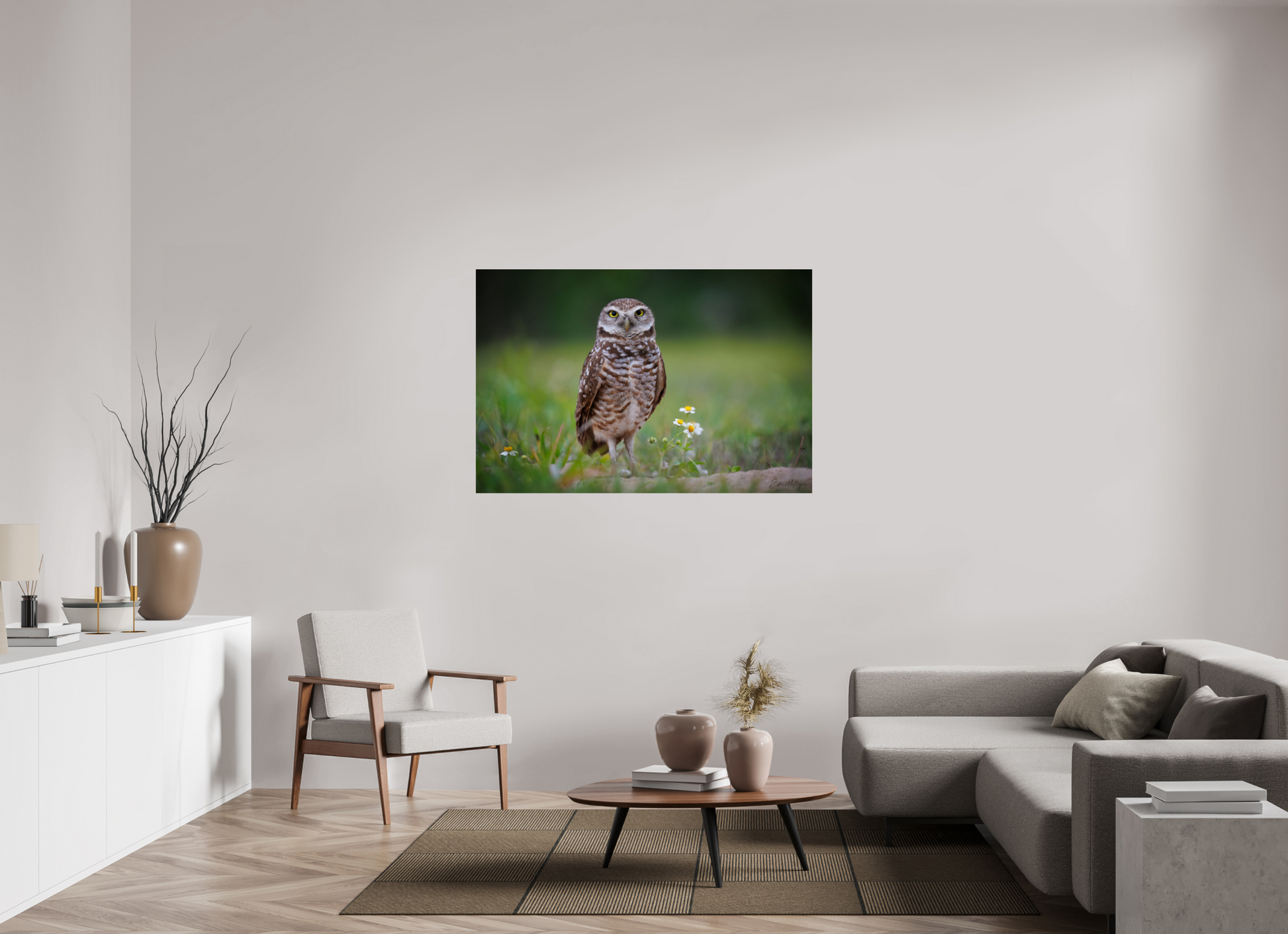 54 x 36″, Metal "The Watcher" - Burrowing Owl