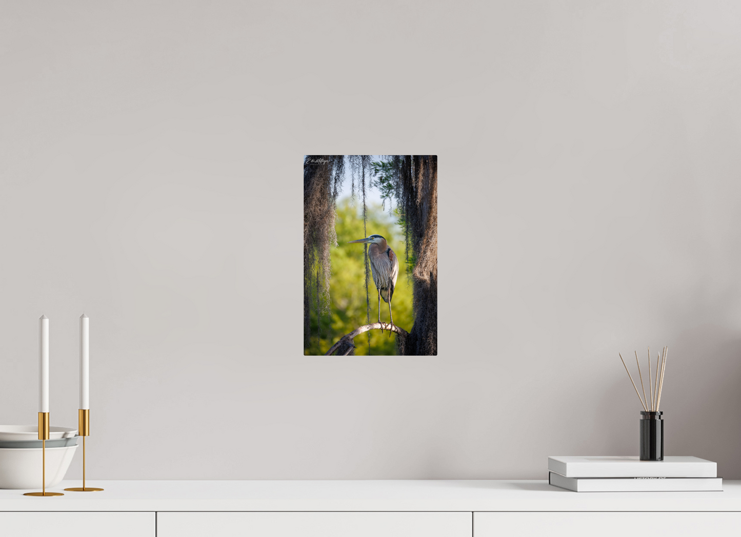 8 x 12″, Metal "Framed by the Moss" - Great Blue Heron