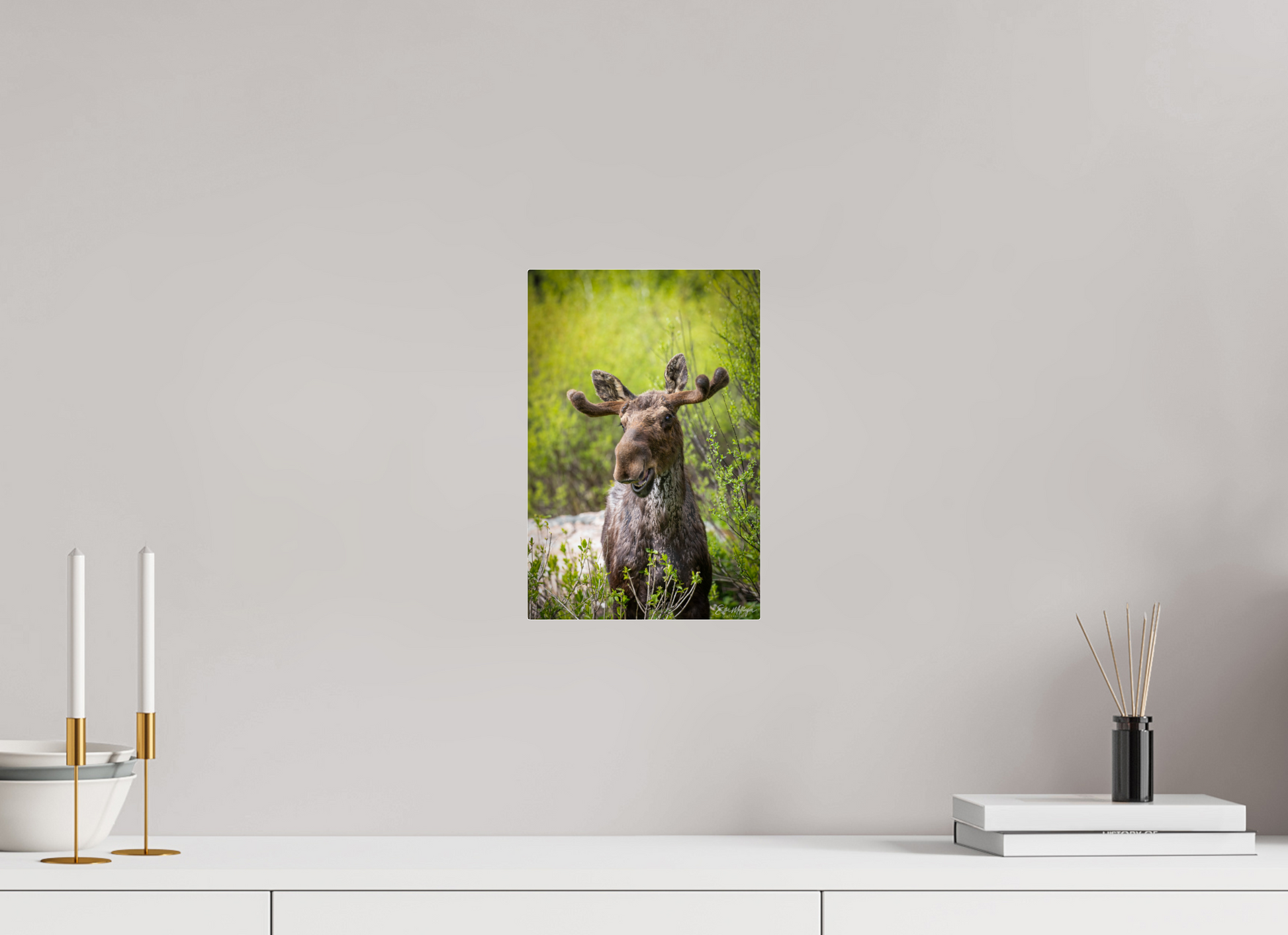 8 x 12″, Acrylic "Willow Smile" - Moose