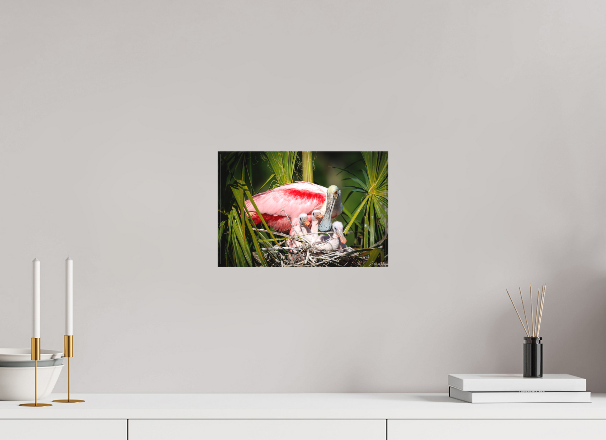12 x 8″, Canvas "The Nest Above" - Spoonbills