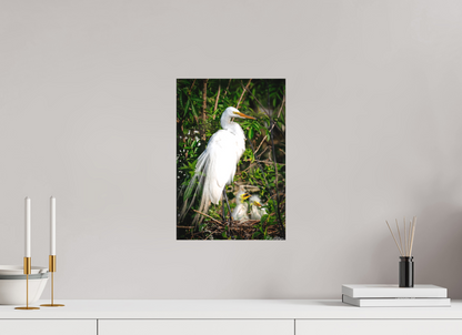 10 x 15″, Canvas "Family Moment" - Great Egrets