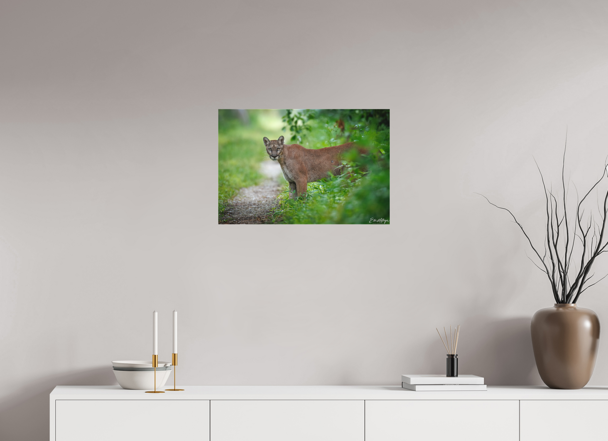 24 x 16″, Canvas Ghost of the Green Forest - Florida Panther