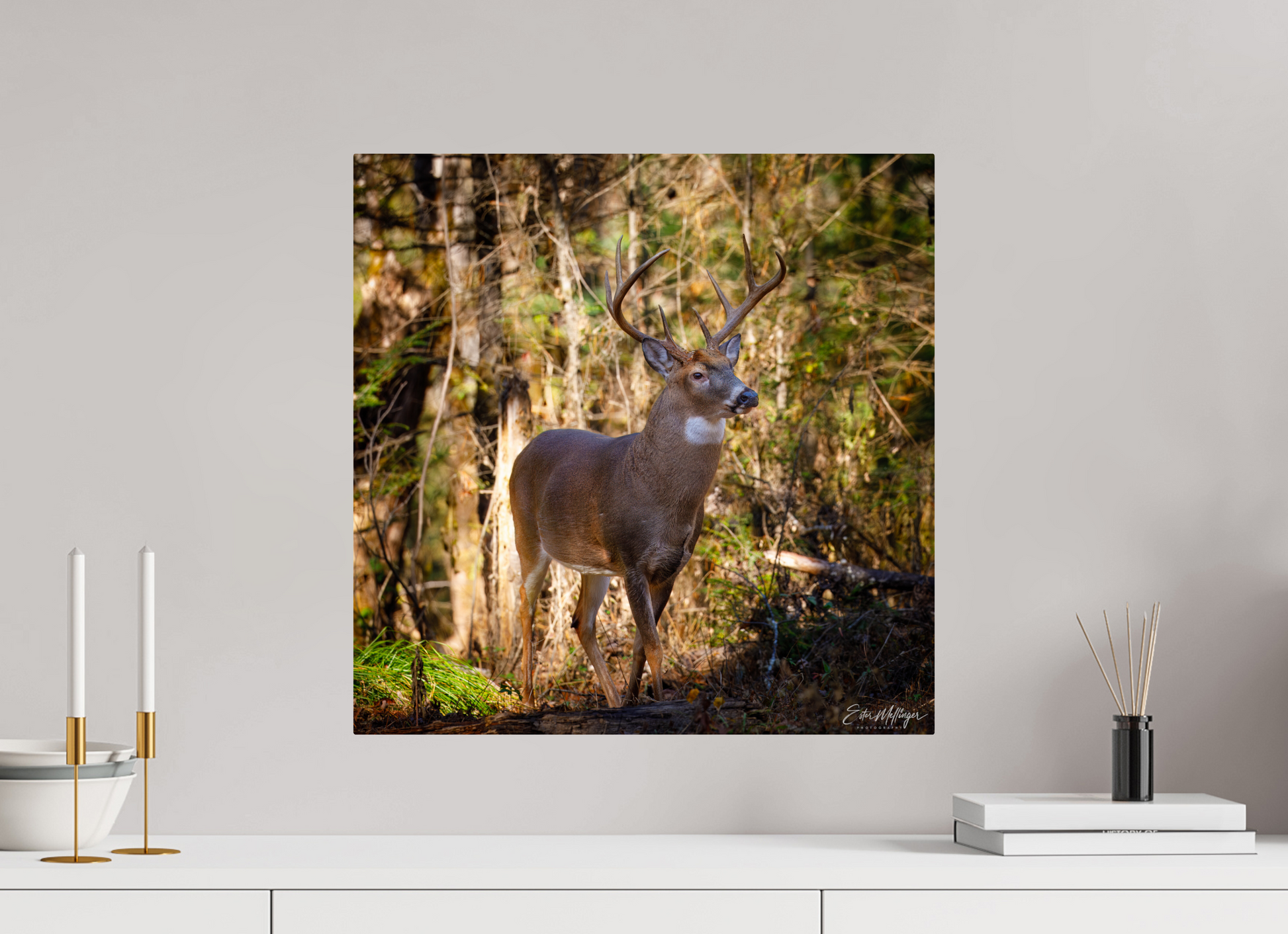 20 x 20″, Metal "King of the Timberline" - White-tailed Buck