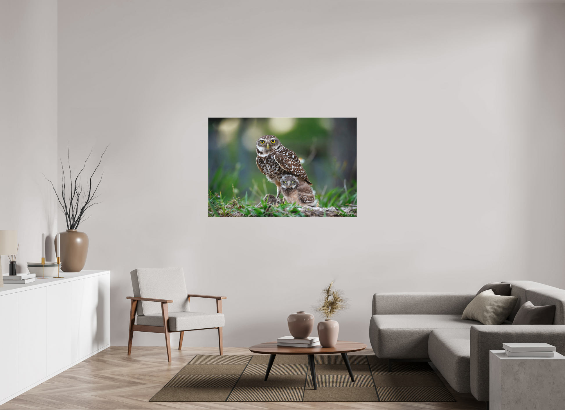 54 x 36″, Canvas "Burrowlight" - Burrowing Owls