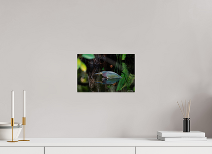 12 x 8″, Acrylic "Reflections in the Cypress" - Green Heron