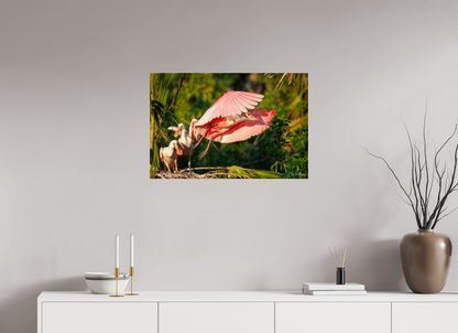 30 x 20″, Acrylic "After the Feeding" - Roseate Spoonbill