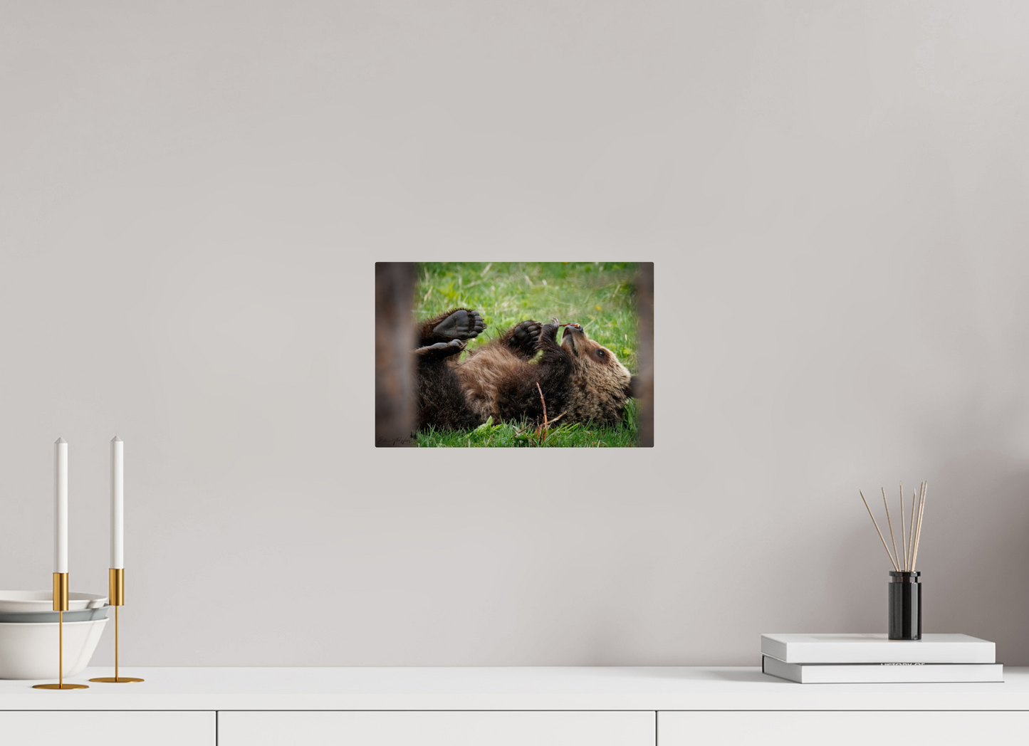 Bear smelling flower