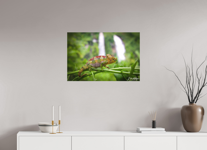30 x 20″, Canvas "Guardian of the Falls" - Chameleon in the Rainforest