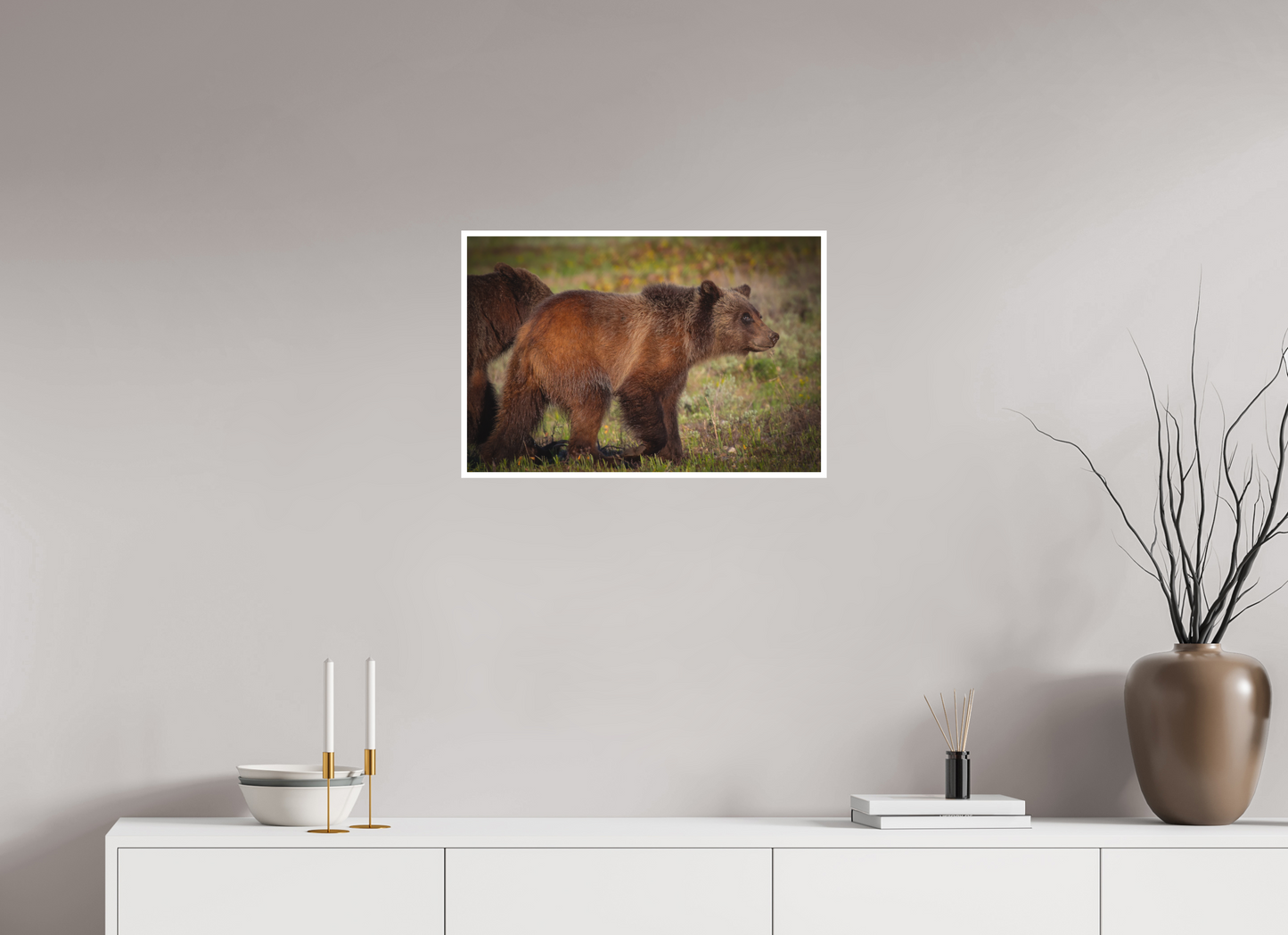 24 x 16″, Fine art print "Sage Wander" - Grizzly bear