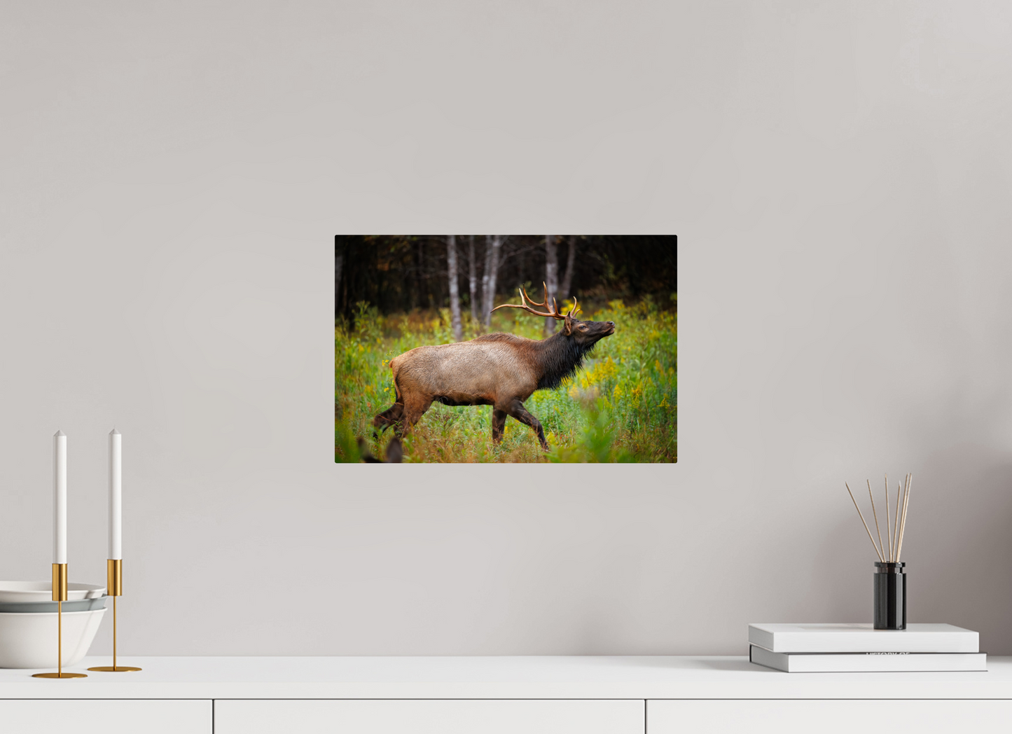 15 x 10″, Metal "The Challenger" - Elk