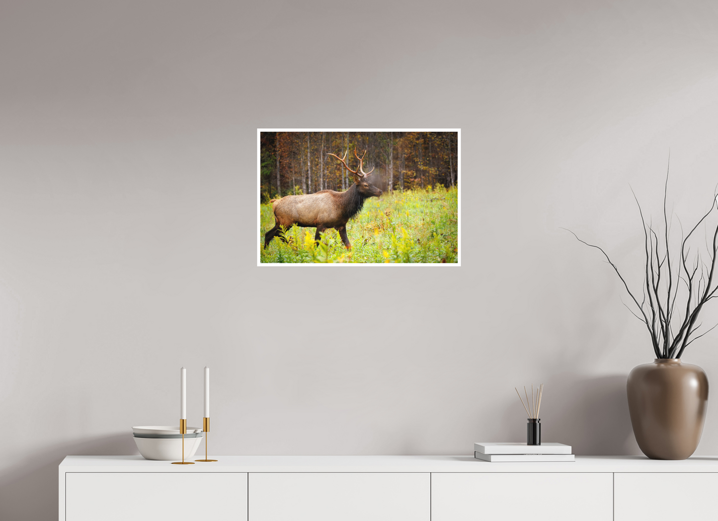 24 x 16″, Fine art print "Call of the Wild" - Elk