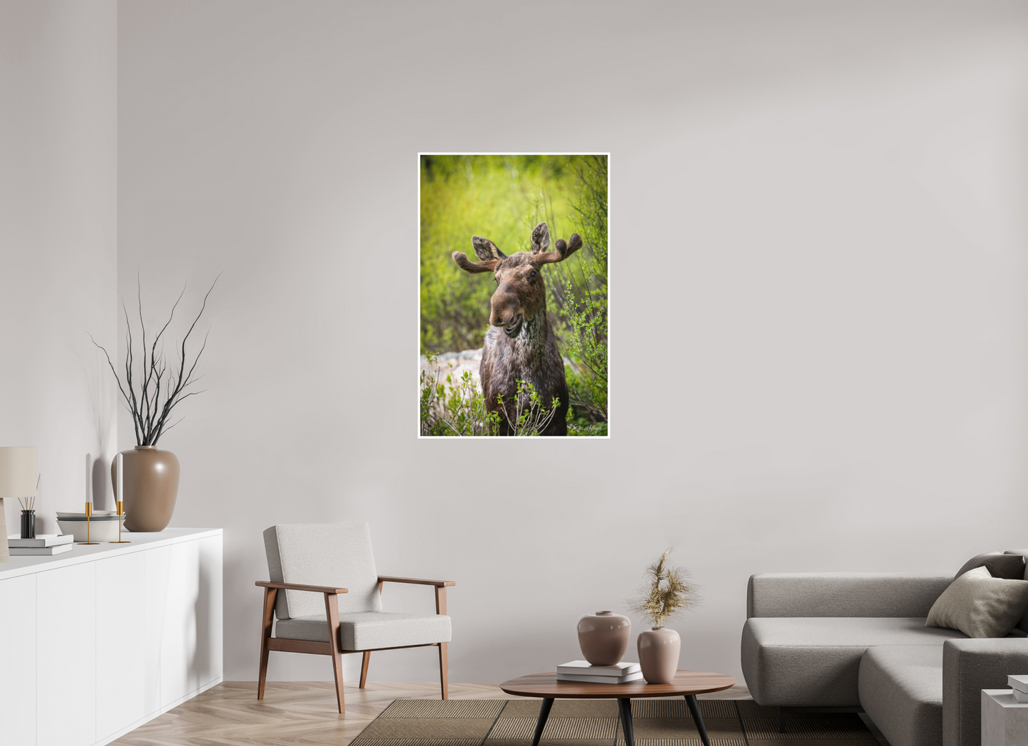 30 x 45″, Fine art print "Willow Smile" - Moose