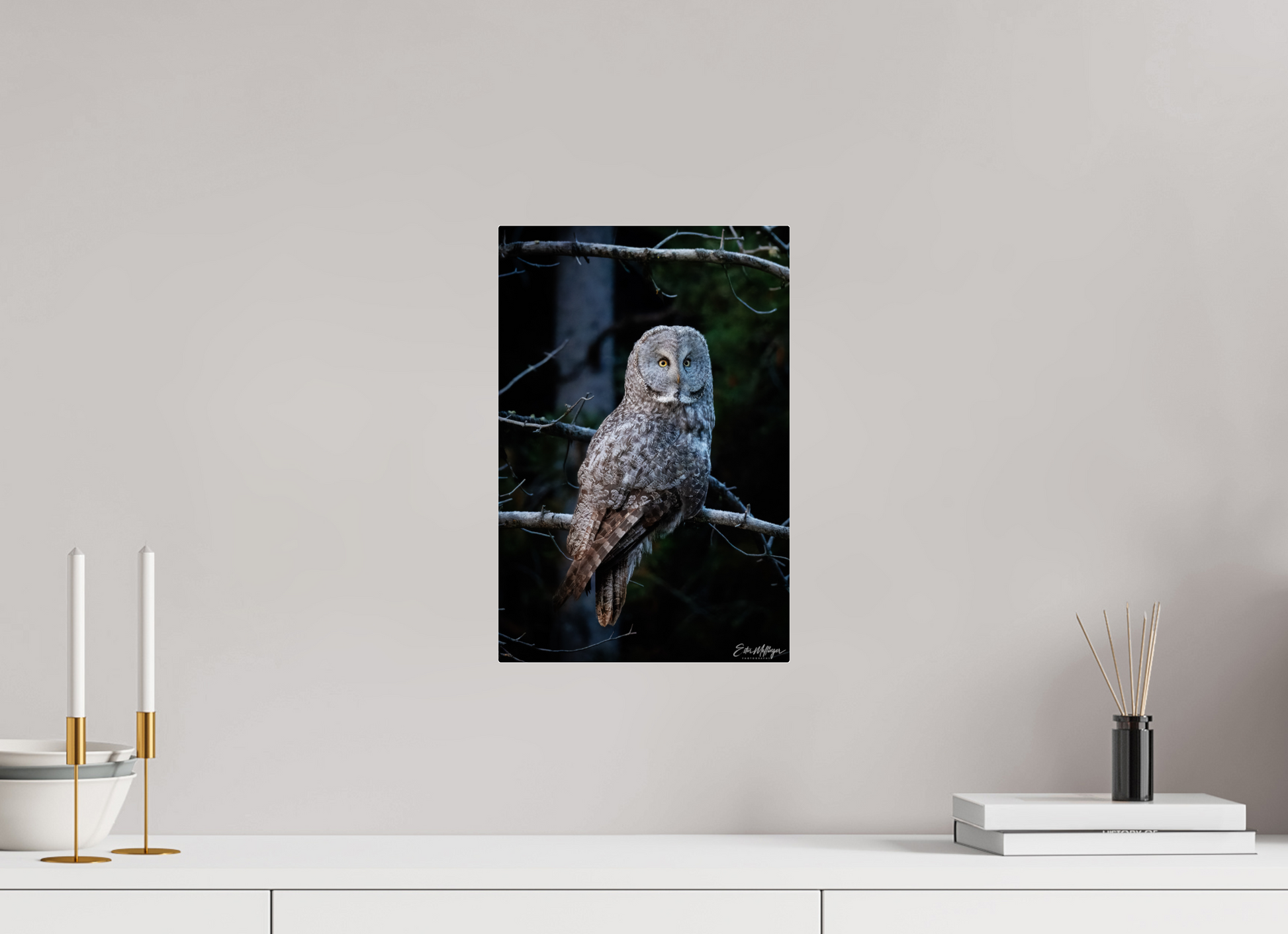 10 x 15″, Acrylic "Keeper of the Dawn" - Great Grey Owl