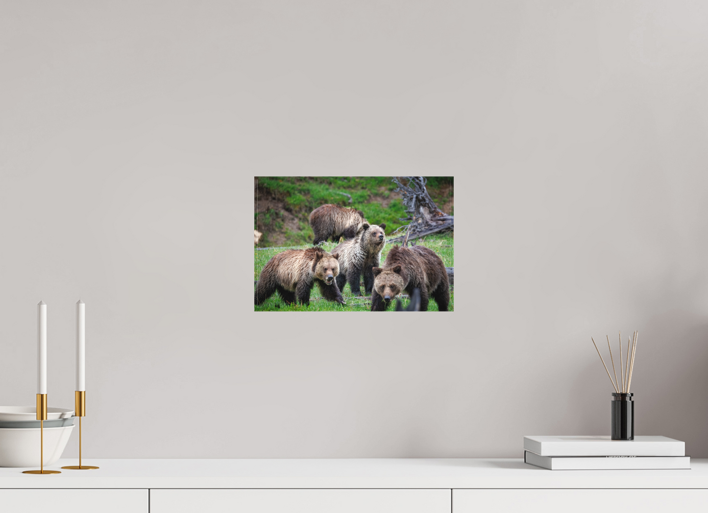 Grizzly family of four