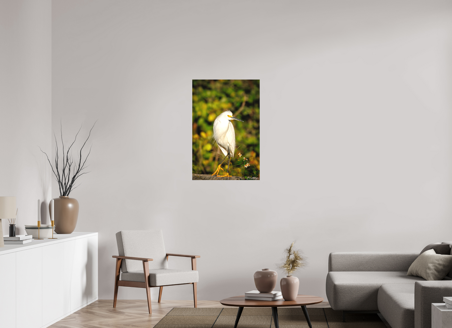 24 x 36″, Canvas "Golden Light, White Silence" - Great Egret