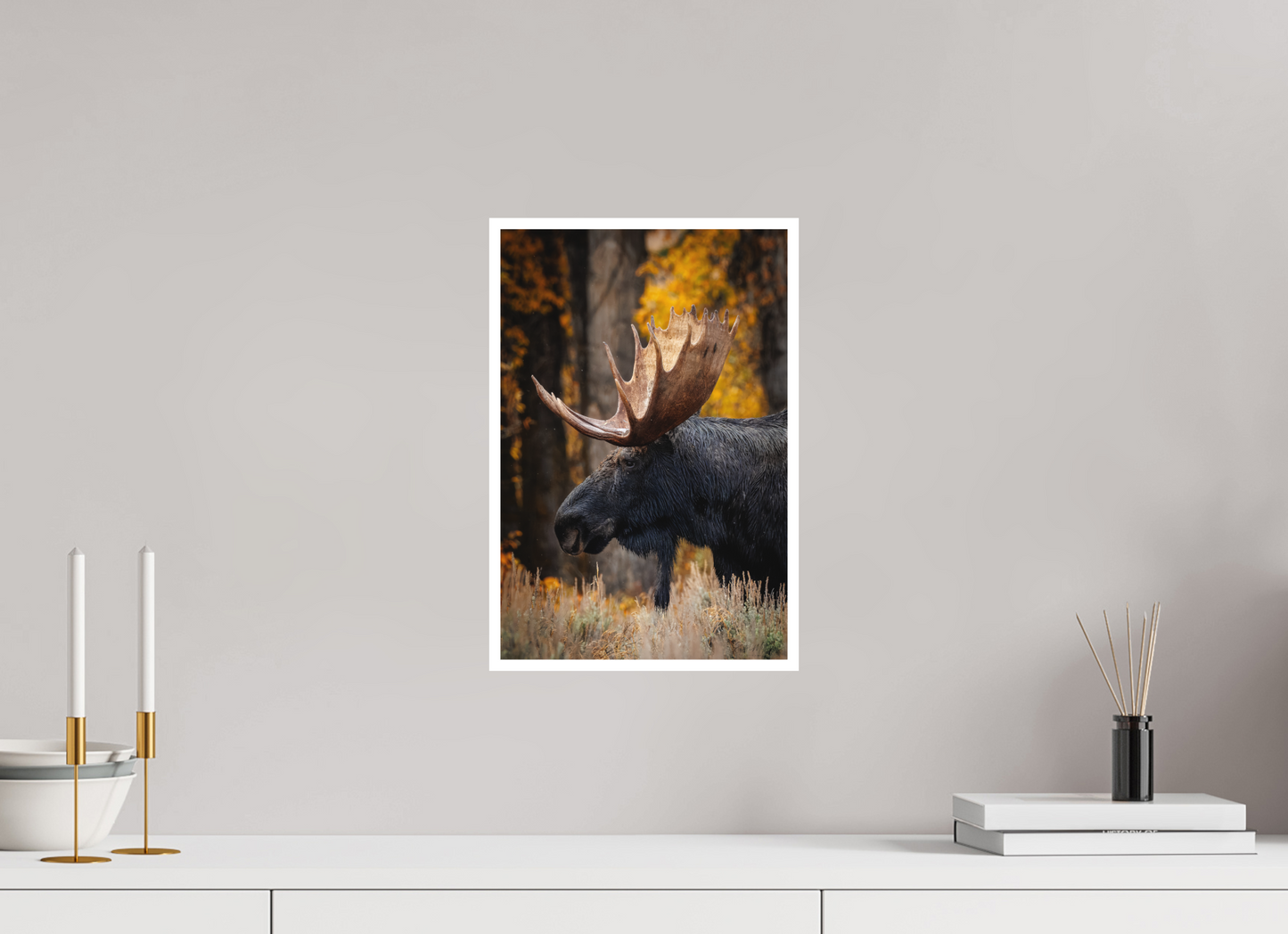 10 x 15″, Fine art print "The Wild One" - Bull moose