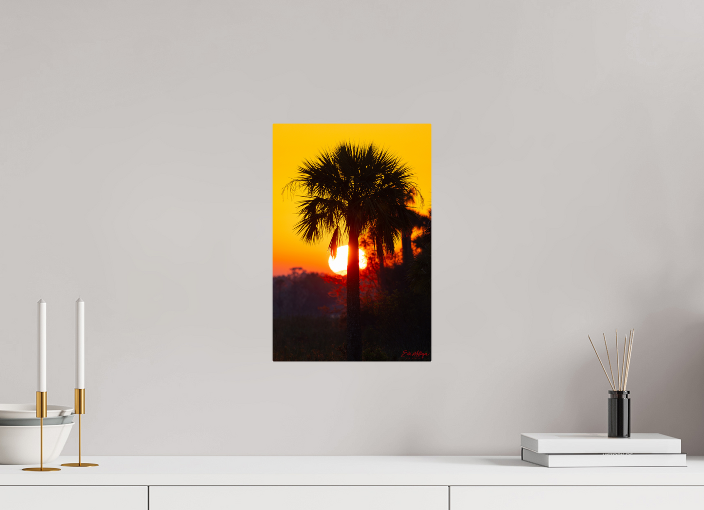 10 x 15″, Metal "Florida Awakens"