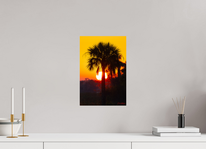 10 x 15″, Metal "Florida Awakens"