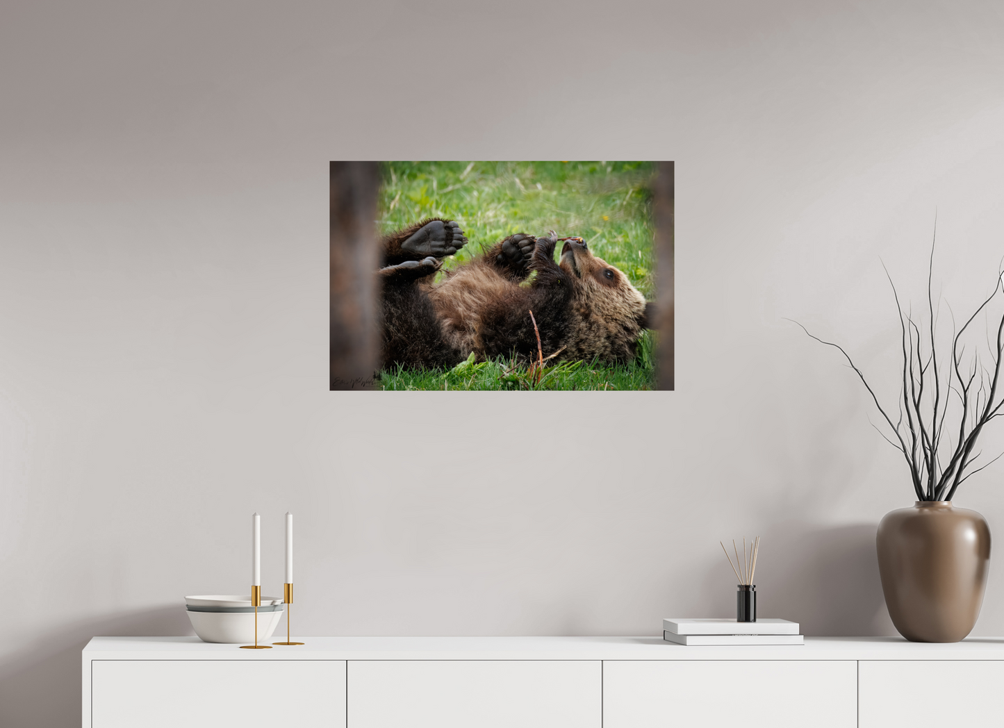 Bear smelling flower