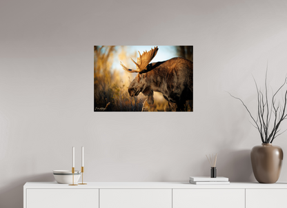 30 x 20″, Metal "Monarch of Gros Ventre - In His Eyes"