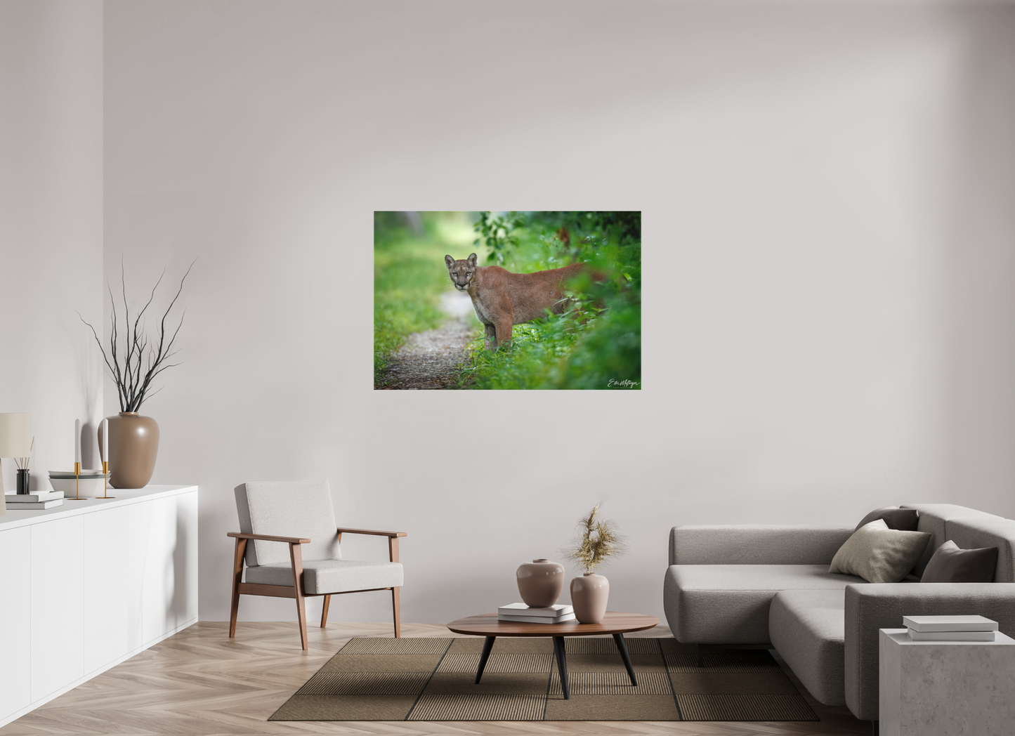 54 x 36″, Canvas Ghost of the Green Forest - Florida Panther