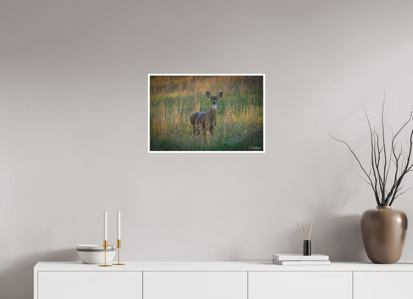 24 x 16″, Fine art print "Grace in the Meadow" - White-tailed Doe