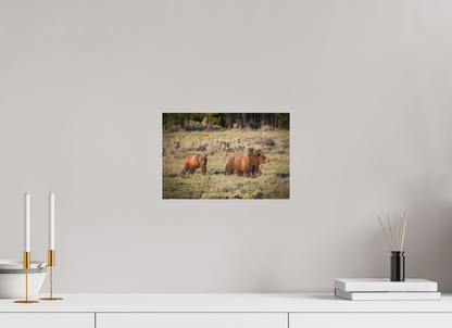 12 x 8″, Canvas "Grizzly 399 & Spirit - Walking the Tetons"