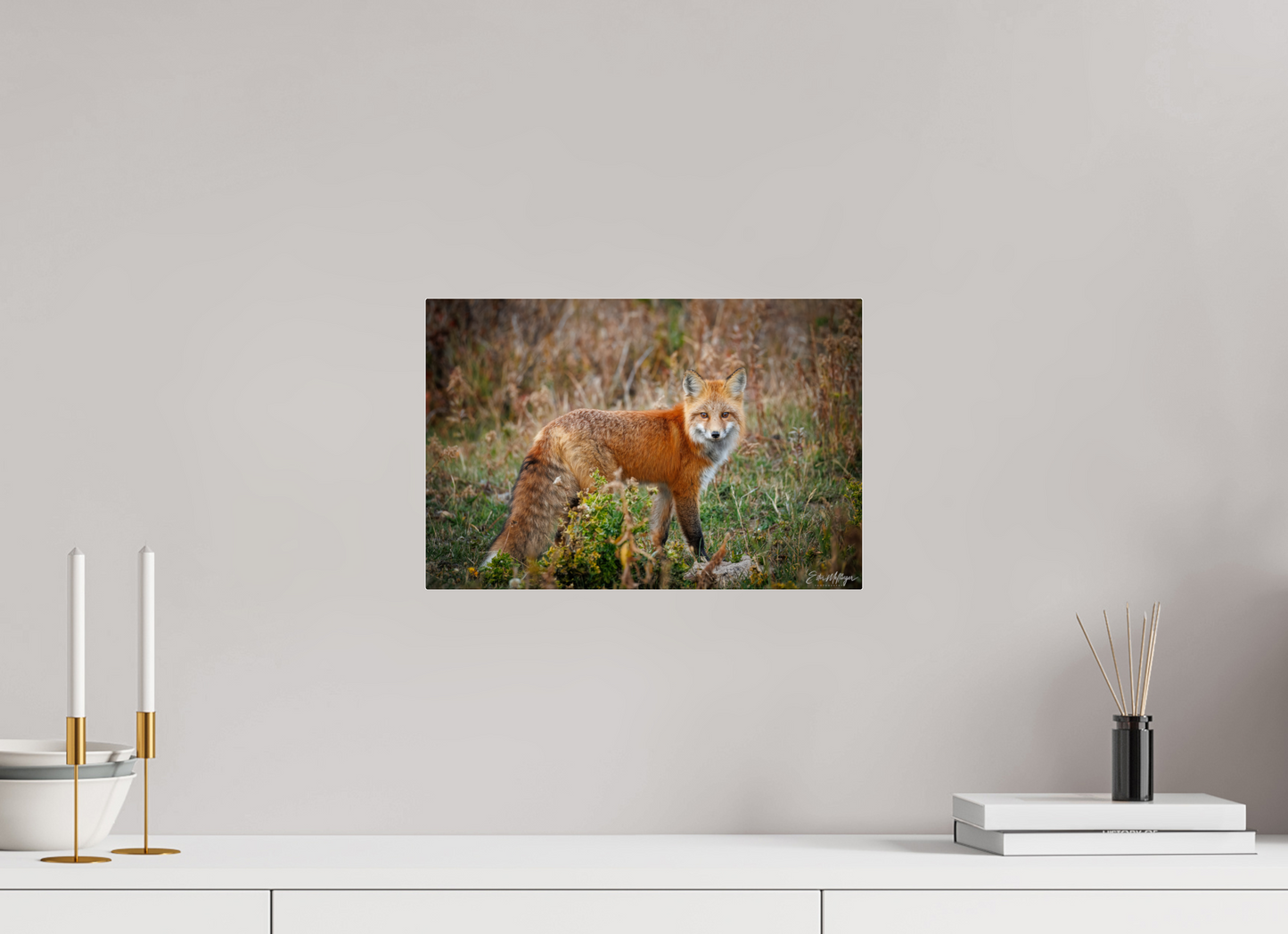 15 x 10″, Acrylic "Ember in the Grass" - Red Fox