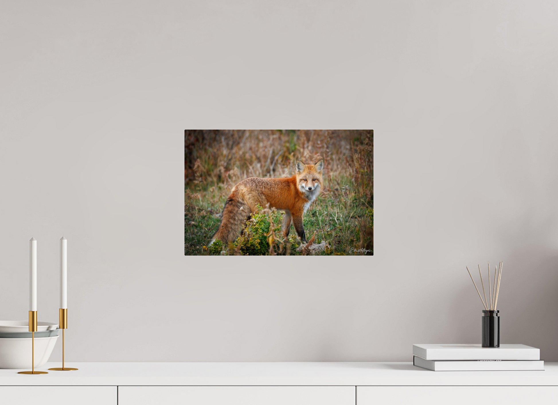 15 x 10″, Acrylic "Ember in the Grass" - Red Fox