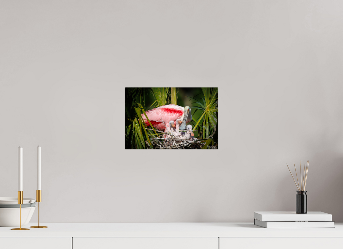 12 x 8″, Metal "The Nest Above" - Spoonbills