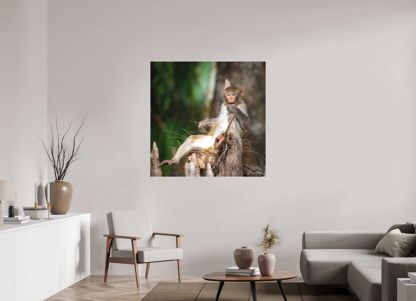 45 x 45″, Canvas "Silver Song" - Rhesus Macaque