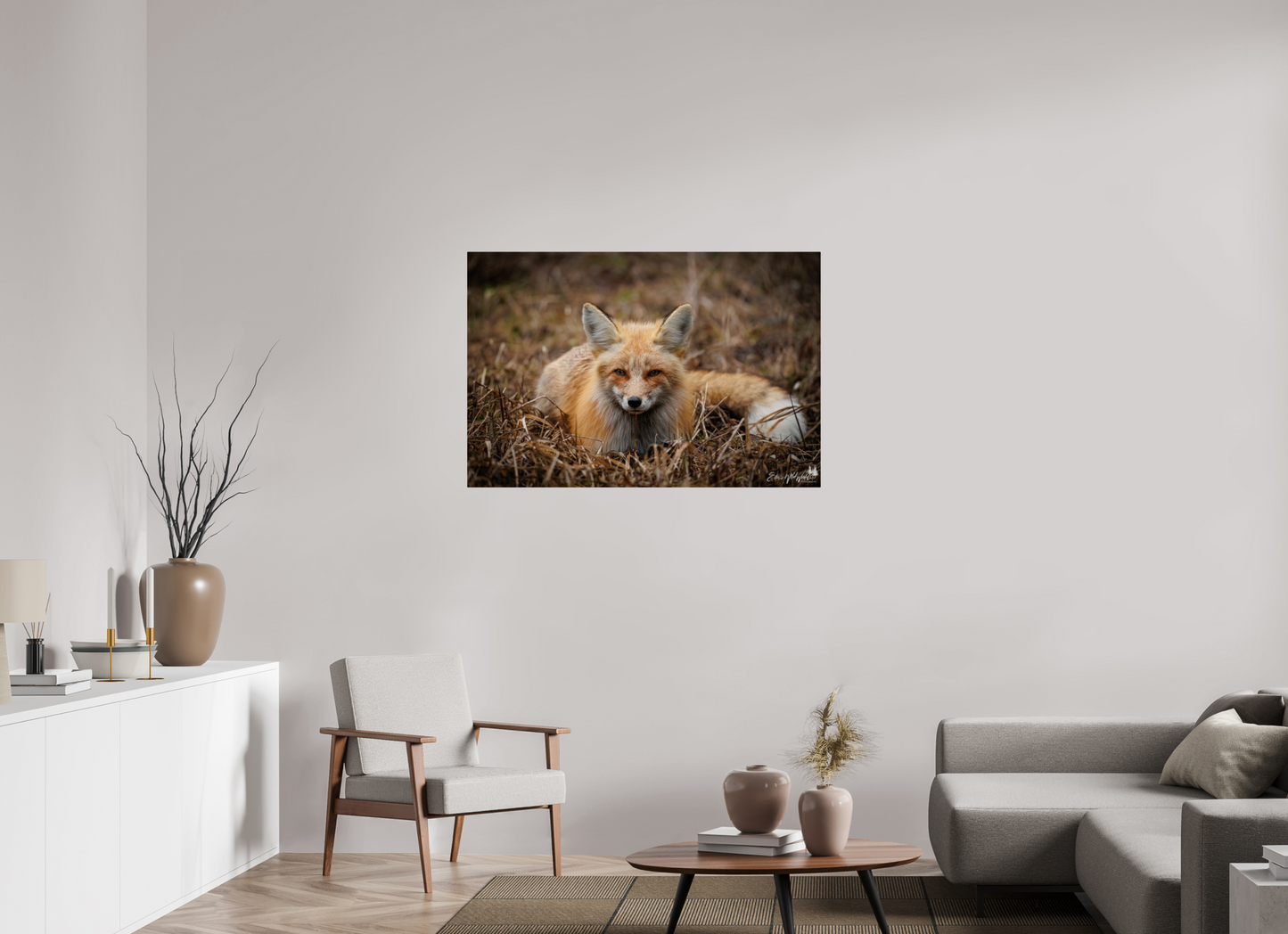 Bedded down fox
