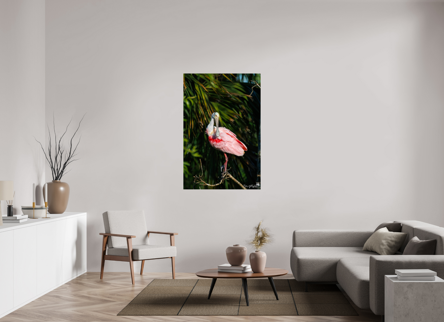 Preening spoonbill