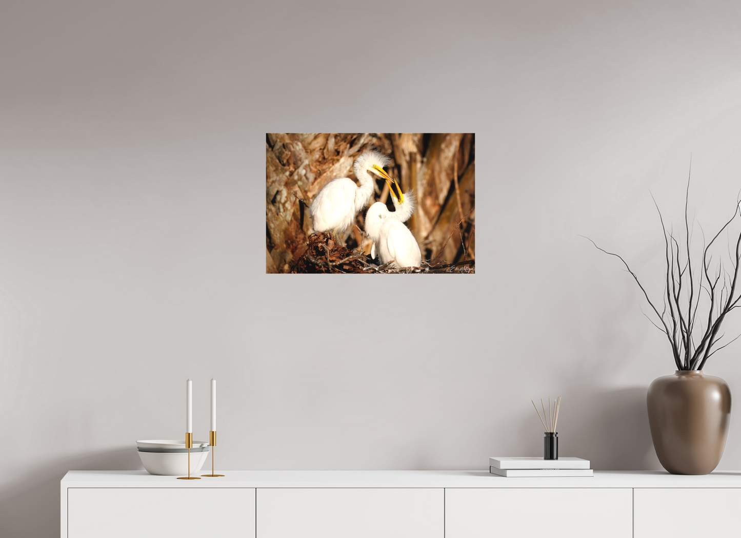 24 x 16″, Canvas "Wetland Nursery" - Great Egrets